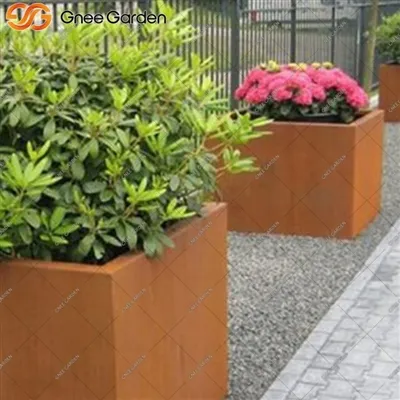 Ideat moderni tal-pjanti: Ittrasforma l-ispazju ta 'barra tiegħek b'disinji t...